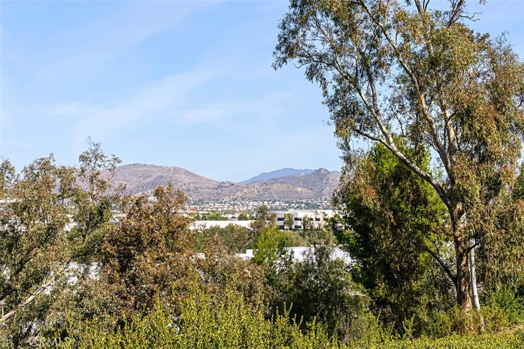 https://media.crmls.org/medias/9e885f10-58d2-42ae-9ebc-0873de43a9e5.jpg?preset=X-Large