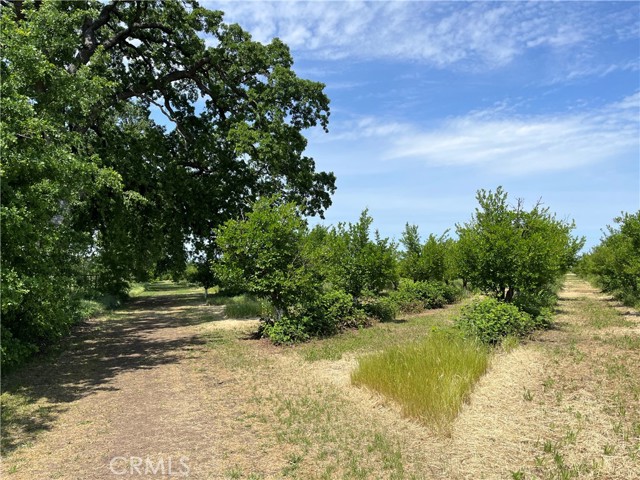 Detail Gallery Image 22 of 26 For 11122 Schafer Ave, Los Molinos,  CA 96055 - 3 Beds | 2 Baths