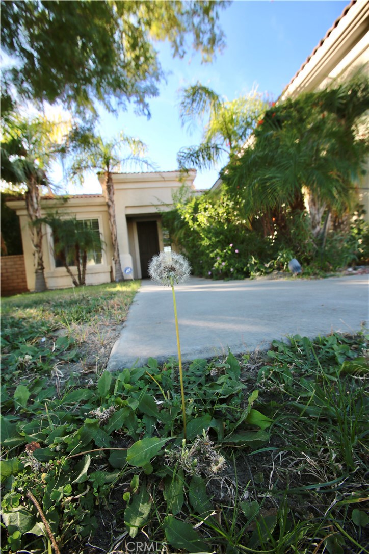 MLS #JT25276337 image #43