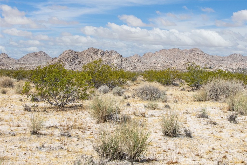 MLS #JT25031974 image #13