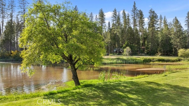 Detail Gallery Image 67 of 69 For 9 Apple Hill Cir, Berry Creek,  CA 95916 - 3 Beds | 2 Baths