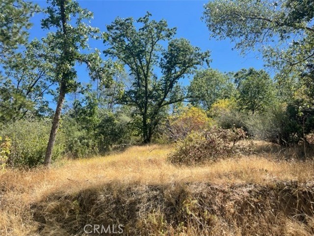 Detail Gallery Image 14 of 17 For 0 Lot 2 Peckinpah Acres Dr, North Fork,  CA 93643 - – Beds | – Baths