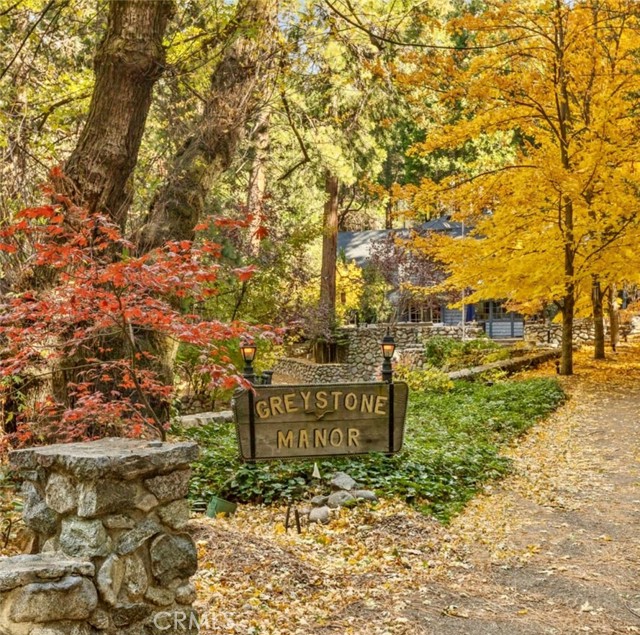 969 Oak Drive, Crestline CA: https://media.crmls.org/medias/9ec91db0-0d56-4192-bcbc-74db8052f7ac.jpg