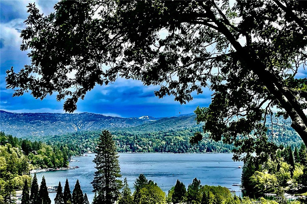 https://media.crmls.org/medias/9ed24af8-a057-4ce6-bdd8-14f809a1c129.jpg?preset=X-Large