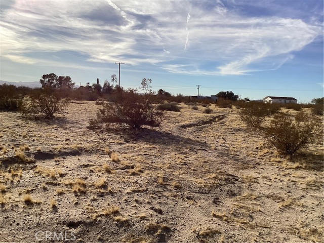 Detail Gallery Image 14 of 14 For 42979 Mandrill St, Newberry Springs,  CA 92365 - – Beds | – Baths