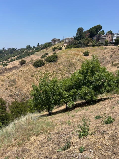 Detail Gallery Image 7 of 12 For 653 Beech St, Los Angeles,  CA 90065 - – Beds | – Baths