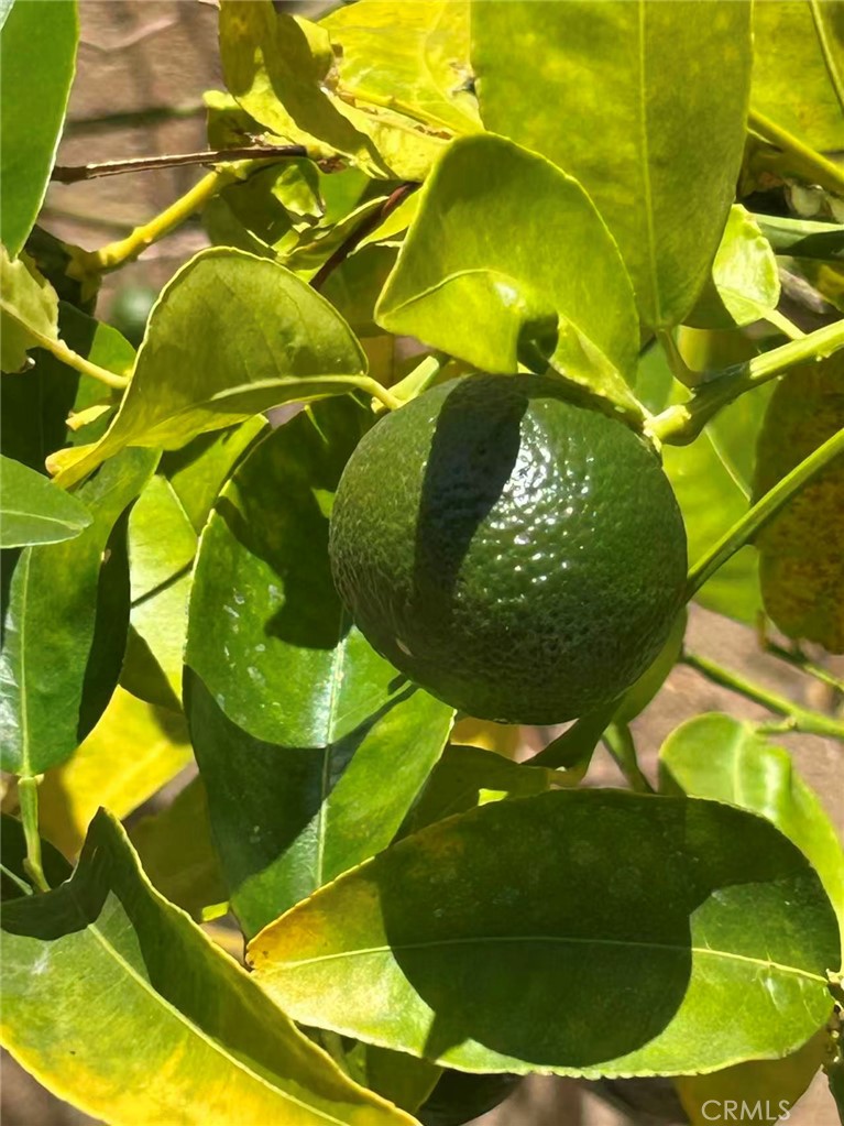 https://media.crmls.org/medias/9ee13a57-cc77-4d3b-b0cd-8aa3d2e78ce9.jpg?preset=X-Large