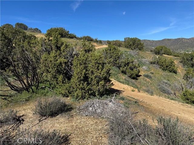 Detail Gallery Image 7 of 8 For 0 0, Acton,  CA 93510 - – Beds | – Baths