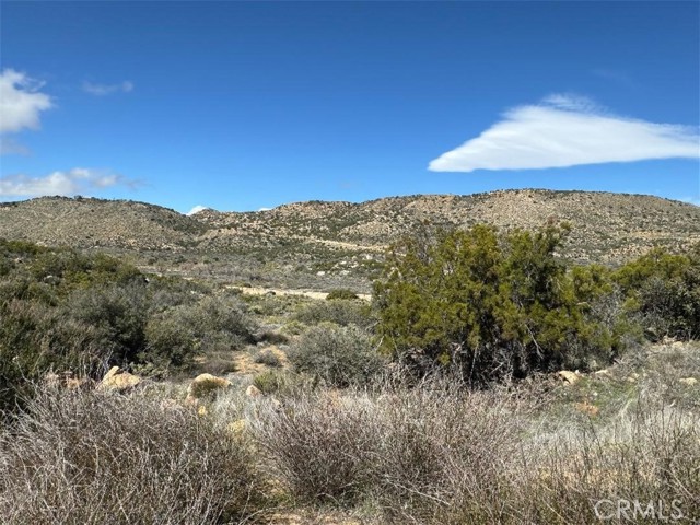 0 Covered Wagon Trail, Anza, California 92539, ,Land,For Sale,0 Covered Wagon Trail,CRSW24042253