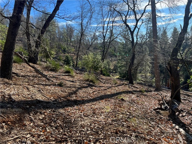 Detail Gallery Image 21 of 23 For 9457 Fox, Cobb,  CA 95426 - – Beds | – Baths