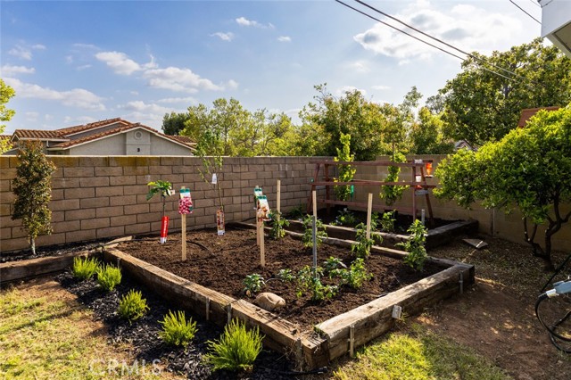 Expansive Garden Area