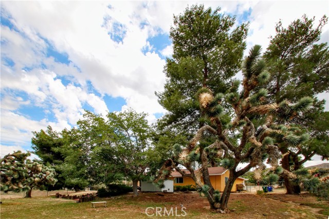 56616 Joshua, Yucca Valley CA: https://media.crmls.org/medias/9ef82ca3-11e9-416c-8245-6320fcb4647c.jpg