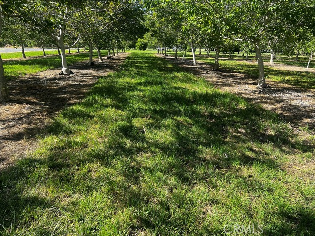 4180 COUNTY 203 Road, Orland CA: https://media.crmls.org/medias/9ef8d880-5e79-4011-b45d-6f99c9c631ab.jpg