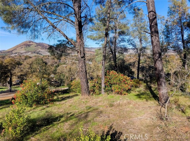 Detail Gallery Image 13 of 18 For 3522 Filmore Ave, Clearlake,  CA 95422 - – Beds | – Baths