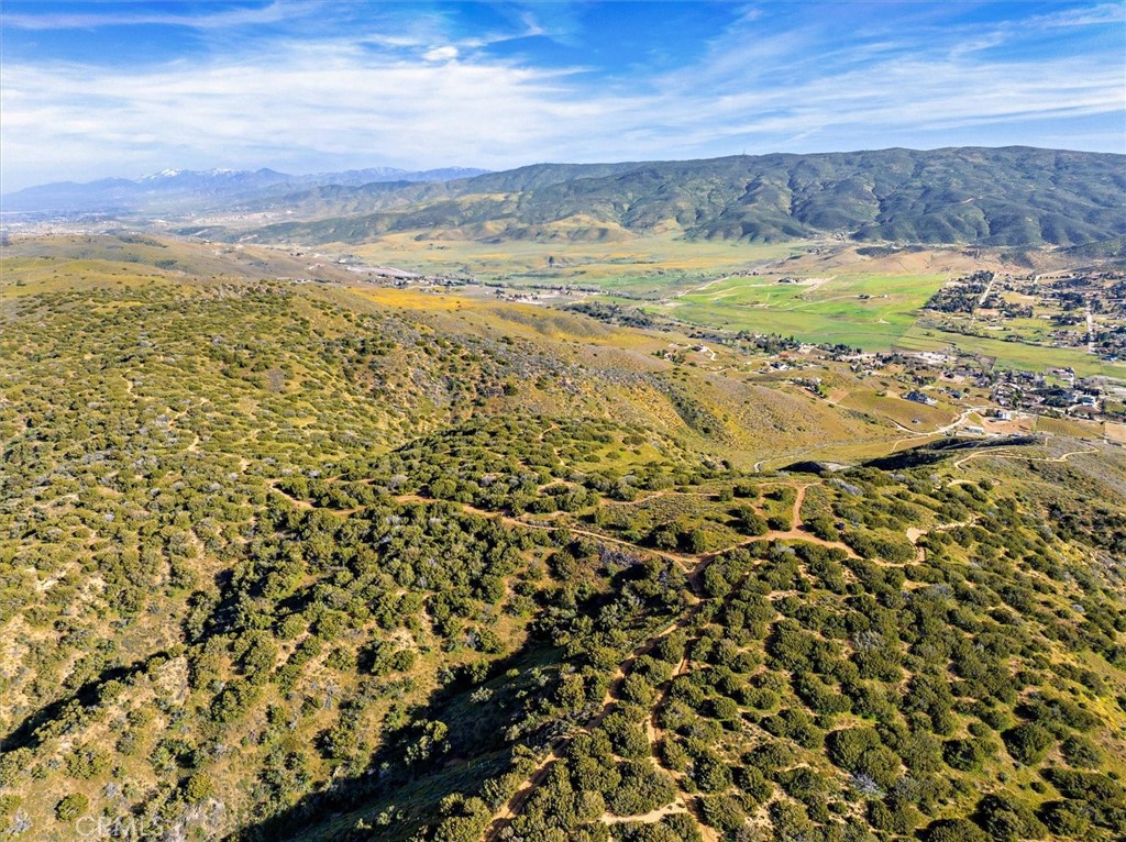 48725 Shallow Springs Road N, Leona Valley, CA 93551