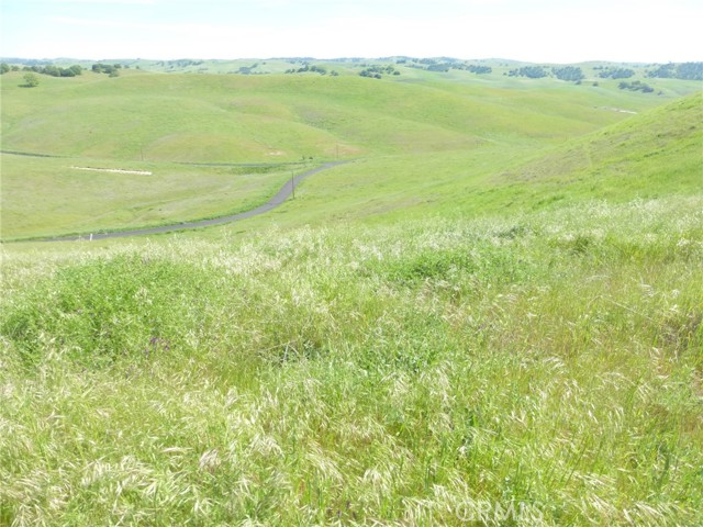 Detail Gallery Image 25 of 51 For 0 Douglas Rd. (Lot 33), San Miguel,  CA 93451 - – Beds | – Baths