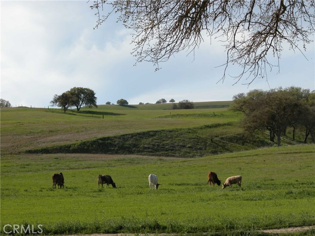 Image 3 of 24 For 3470 Ranchita Cyn Rd