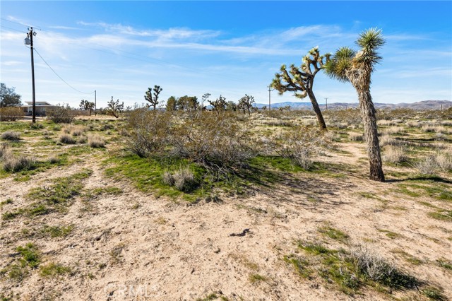 Detail Gallery Image 33 of 51 For 0 Gibraltar, Landers,  CA 92285 - – Beds | – Baths