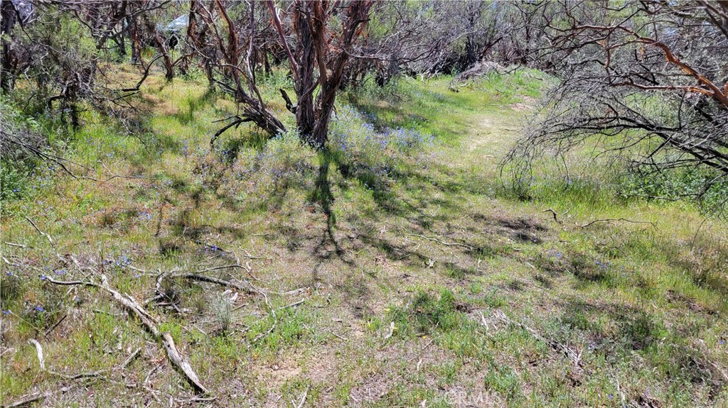 53409 Pony Trail