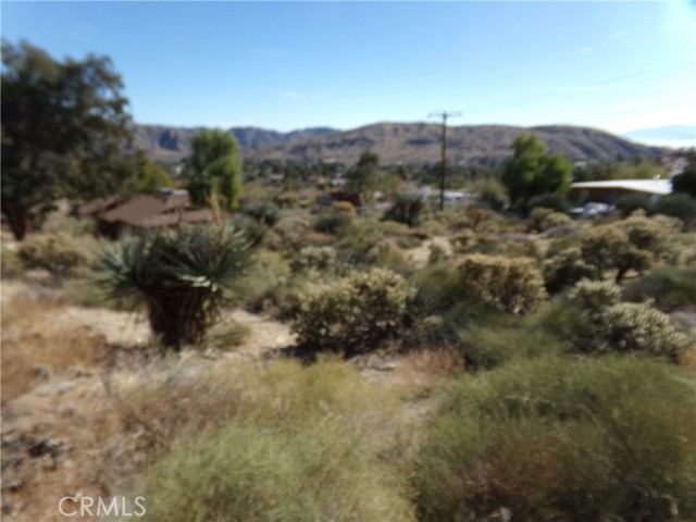 Detail Gallery Image 1 of 1 For 0 Vista Dr, Morongo Valley,  CA 92256 - – Beds | – Baths