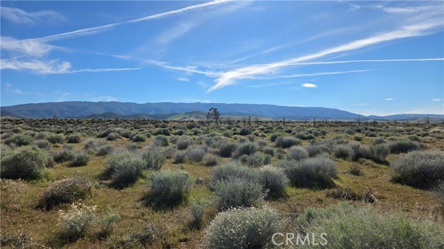 Detail Gallery Image 22 of 32 For 0 Ave C Vicinity 264th St W, –,  CA 93536 - – Beds | – Baths