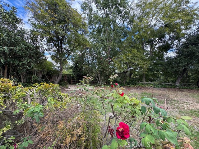 Detail Gallery Image 18 of 22 For 2212 Linda Flora Dr, Los Angeles,  CA 90077 - 3 Beds | 2/1 Baths