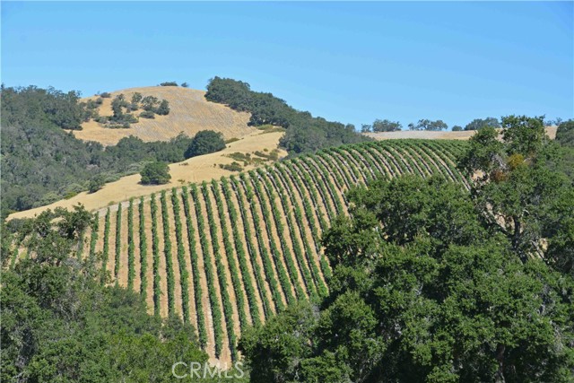 Detail Gallery Image 6 of 36 For 0 Adelaida Road, Paso Robles,  CA 93446 - – Beds | – Baths