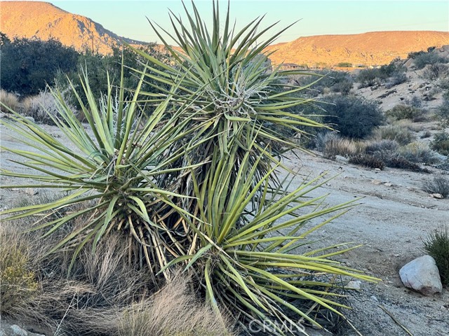 52125 Pipes Canyon, Pioneertown, CA, 92268 52125 Pipes Canyon, Pioneertown, CA, 92268