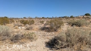 Detail Gallery Image 2 of 8 For 0 Del Rosa, Pinon Hills,  CA 92372 - – Beds | – Baths