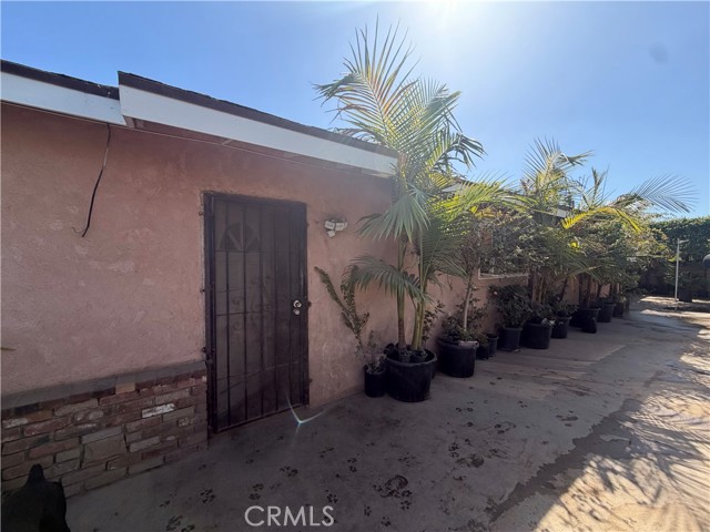 12366 Magnolia photo 3