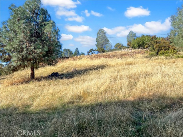 Detail Gallery Image 9 of 9 For 10203 El Capitan, Kelseyville,  CA 95451 - – Beds | – Baths