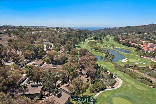 31313 E Nine Drive, Laguna Niguel CA: https://media.crmls.org/medias/9f30ea91-7ed0-4408-981f-c45243d8306b.jpg