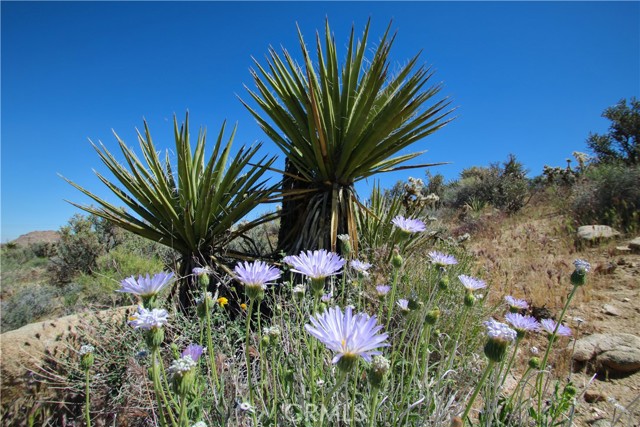 Detail Gallery Image 35 of 38 For 0 San Andreas, Joshua Tree,  CA 92252 - – Beds | – Baths