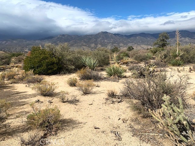 Detail Gallery Image 10 of 15 For 368 Palm Canyon Dr, Mountain Center,  CA 92561 - – Beds | – Baths