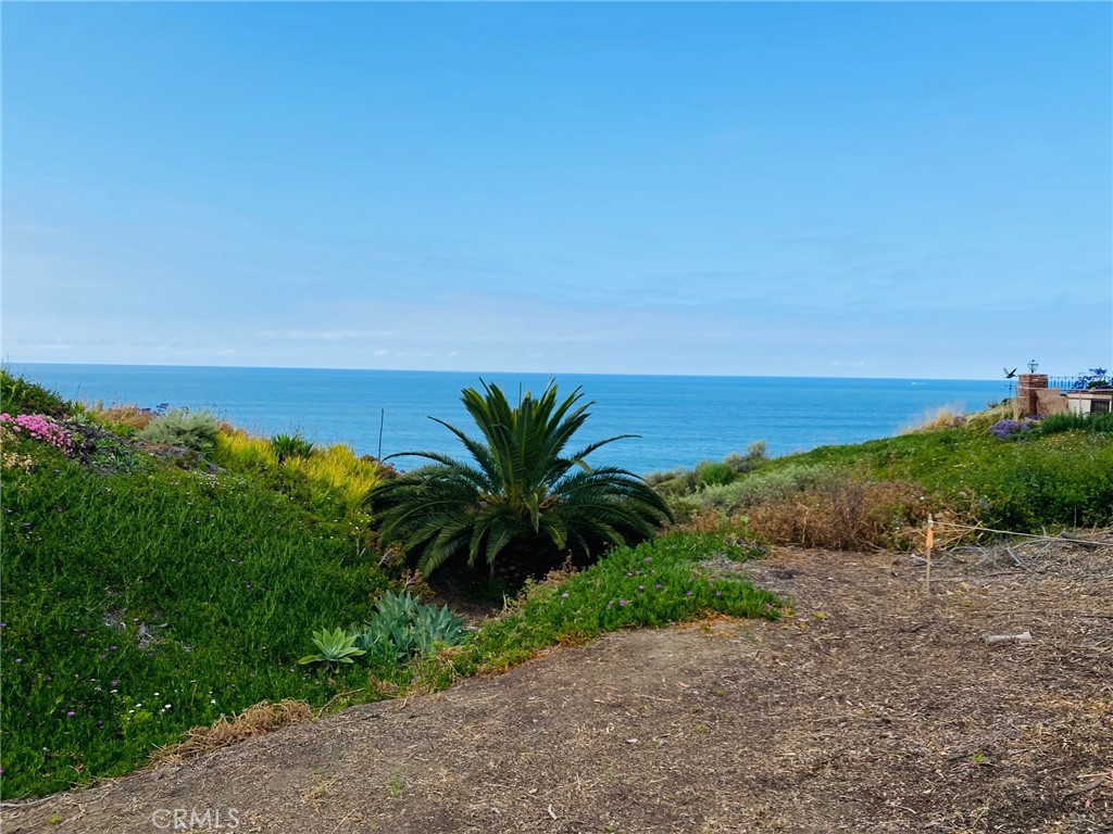 MLS #OC25110308 img 4