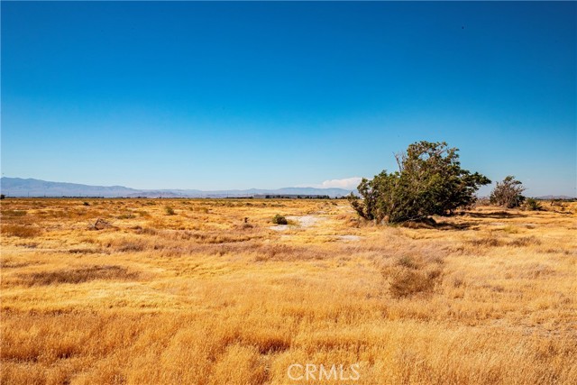 0 W Vic Avenue 37th St W Ave I, Lancaster CA: https://media.crmls.org/medias/9f494bdd-8c52-4290-8575-894d03ef7e47.jpg