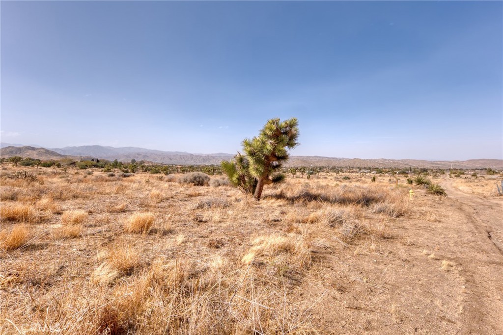 MLS #JT25046600 image #28