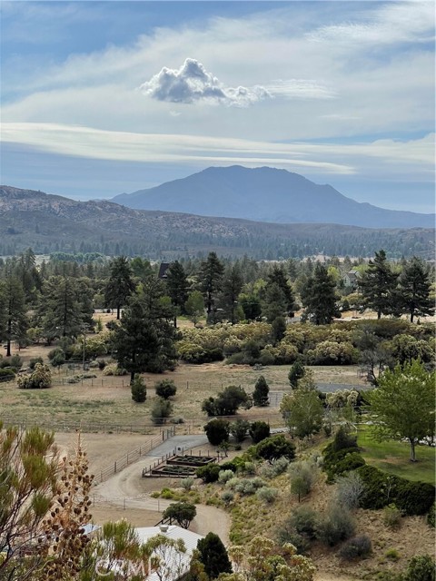 Detail Gallery Image 2 of 13 For 2 Goldshot Creek Rd, Mountain Center,  CA 92561 - – Beds | – Baths