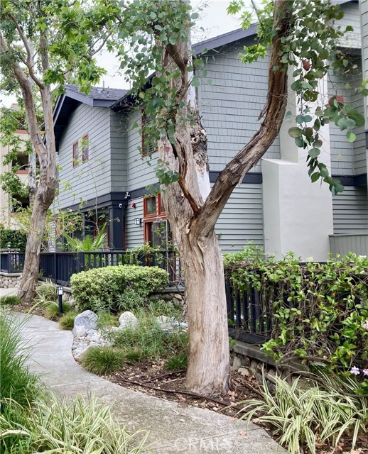 Detail Gallery Image 4 of 56 For 2447 Oneida St #2,  Pasadena,  CA 91107 - 3 Beds | 2/1 Baths