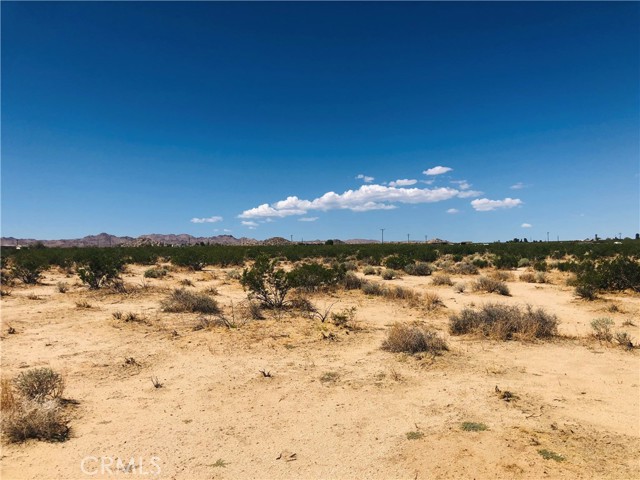 Detail Gallery Image 6 of 9 For 0 Near Dusty Mile Rd, Landers,  CA 92285 - – Beds | – Baths