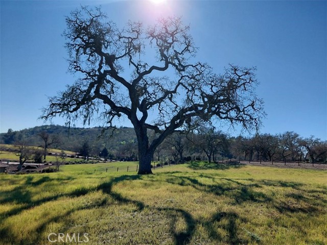 Detail Gallery Image 8 of 16 For 1920 Fire Rock Loop, Templeton,  CA 93465 - – Beds | – Baths