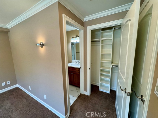 Bottom Floor Bedroom closet and bathroom