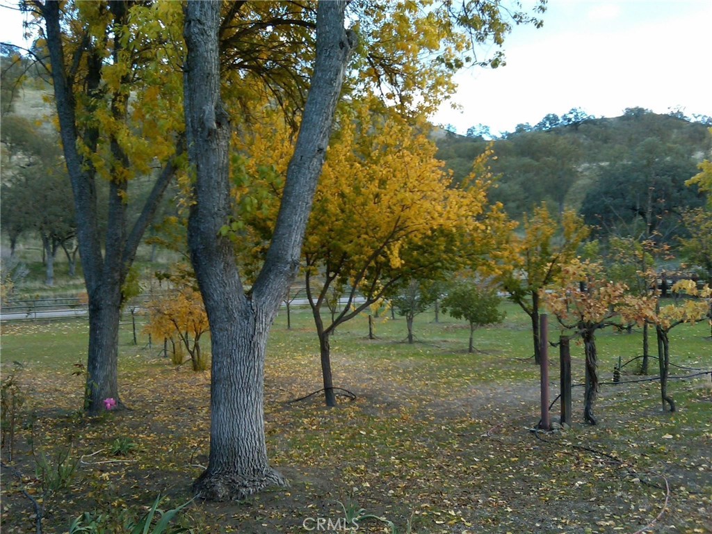 https://media.crmls.org/medias/9f65d450-92b2-4e2e-b08c-8791f45f36f7.jpg?preset=X-Large