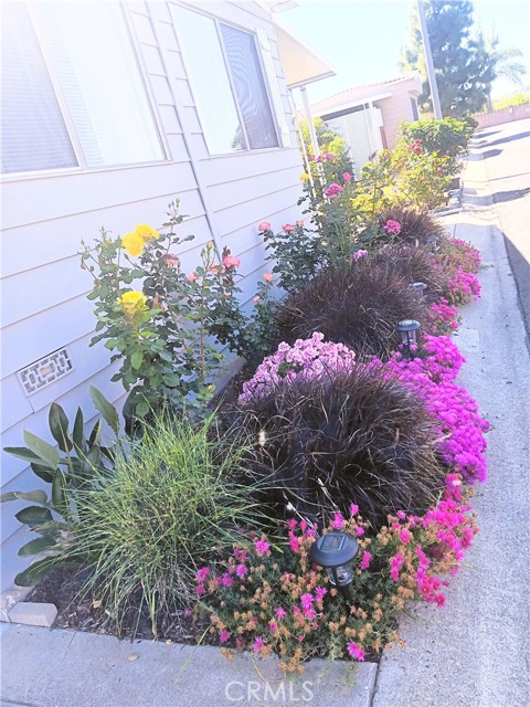 1286 Discovery Street, San Marcos CA: https://media.crmls.org/medias/9f67ace0-3ee6-468f-9ba1-d64a69e193af.jpg