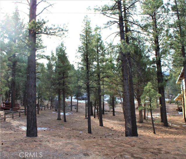 2340 Manzanita Lane, Big Bear City, CA, 92314 2340 Manzanita Lane, Big Bear City, CA, 92314