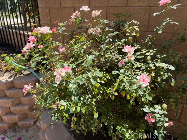 Image 49 of 53 For 77184 California Drive