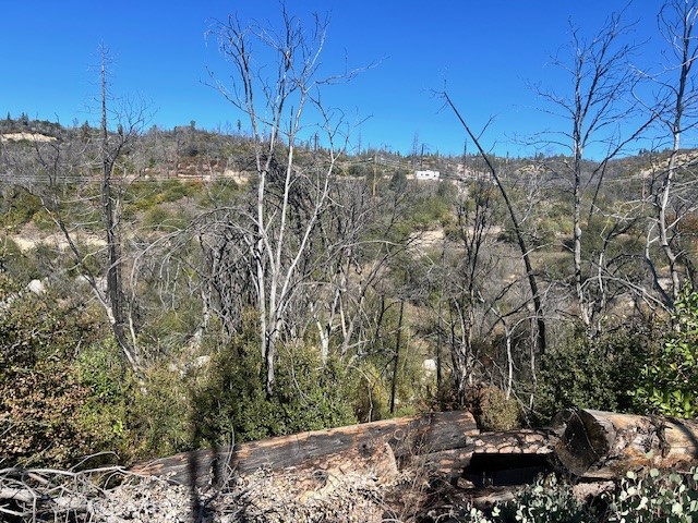 Detail Gallery Image 4 of 39 For 0 Craig Access, Feather Falls,  CA 95940 - – Beds | – Baths