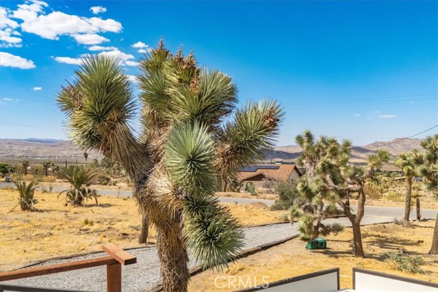 Detail Gallery Image 33 of 65 For 60427 Onaga Trl, Joshua Tree,  CA 92252 - 4 Beds | 2/1 Baths