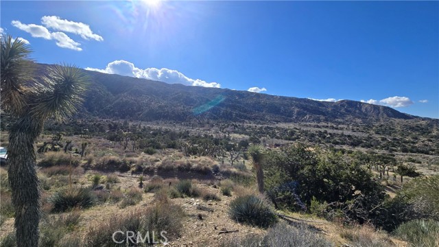 Detail Gallery Image 18 of 31 For 0 Pinon Road to Mescal Highlands, Llano,  CA 93544 - – Beds | – Baths