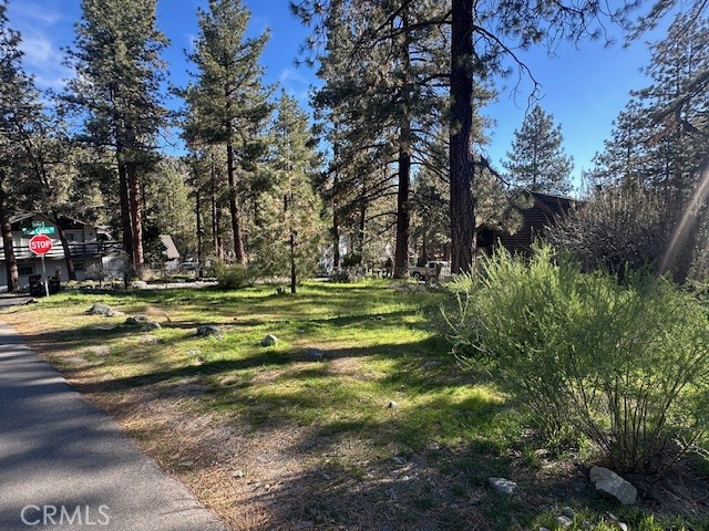 Detail Gallery Image 9 of 9 For 0 Twin Lakes, Wrightwood,  CA 92397 - – Beds | – Baths